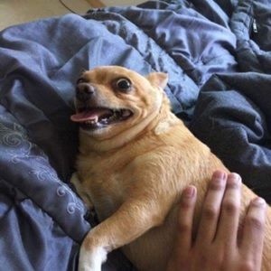 Meet your Posher, Aide